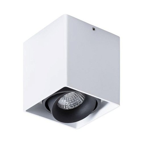 A5654PL-1WH Накладной светильник Arte Lamp Pictor A5654PL-1WH