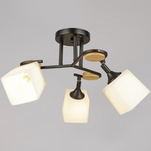 Потолочная люстра 04217-0.3-03 BK