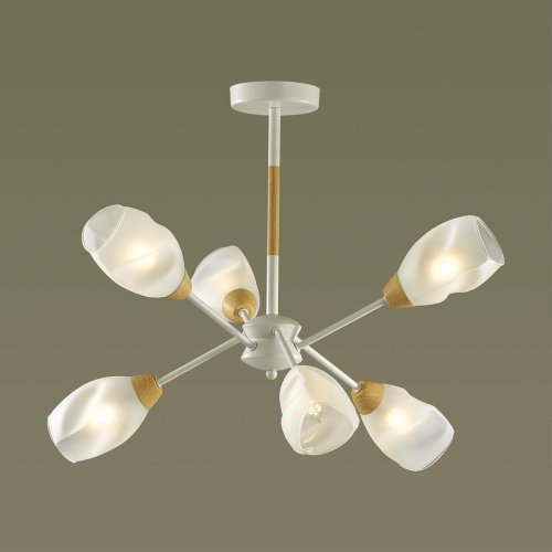 5210/6C Потолочная люстра Lumion Kendra 5210/6C