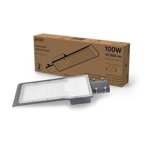 Консольный уличный светильник Gauss Avenue 3000 629534100