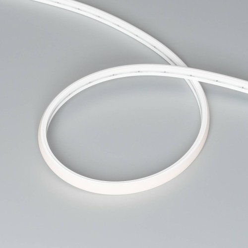 037561 Светодиодный шнур Arlight Moonlight 037561