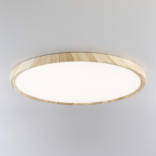Светильник потолочный Citilux Бейсик CL738322V