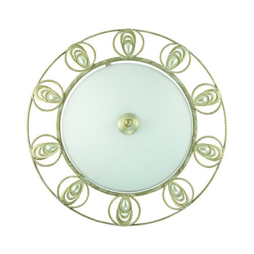 Настенно потолочный светильник Odeon Light Kanti 3483/2С