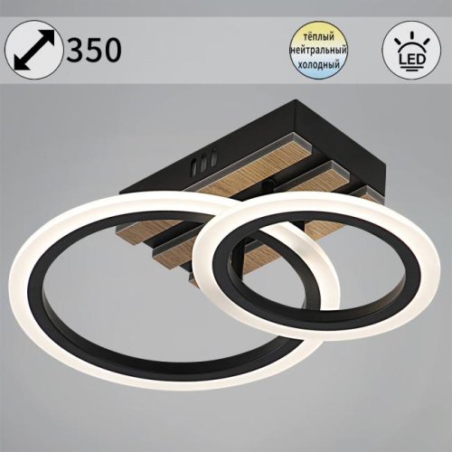 Потолочная люстра Reluce 00330-0.3-1+1