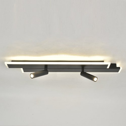 Светильник потолочный Escada 20047Led 20047SMA/02LED BK