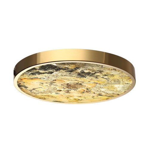 5079/40L Настенно потолочный светильник Odeon Light Bergi 5079/40L