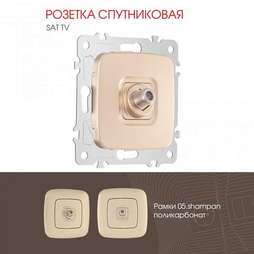 205.42-1.shampan Розетка Arte Milano Am-205 205.42-1.shampan