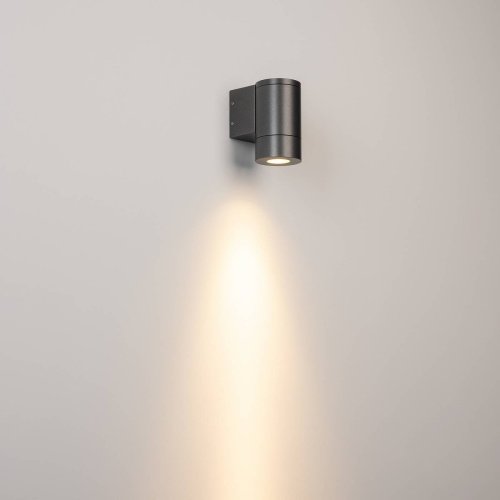 Уличный настенный светильник Arlight Ray 049984(1)