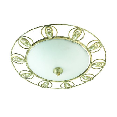 Настенно потолочный светильник Odeon Light Kanti 3483/2C