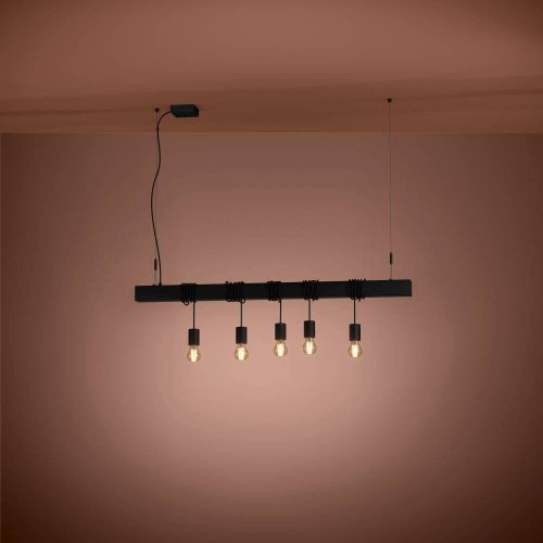 Светильник подвесной Eglo Townshend-B 39937