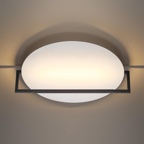 Настенно потолочный светильник Odeon Light Next 7015/20WL