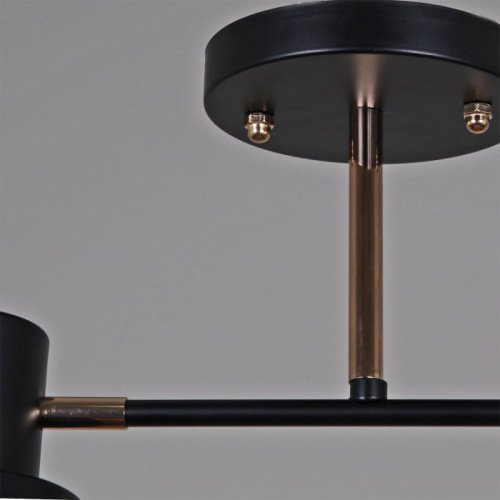 Потолочная люстра 06074-3.3-02 BK+FG