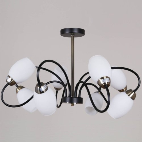 Потолочная люстра Reluce 01270-0.3-08B BK+AB