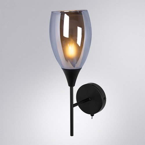 A7951AP-1BK Настенное бра Arte Lamp Barry A7951AP-1BK