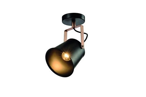 Светильник спот Rivoli Acuto 7015-701