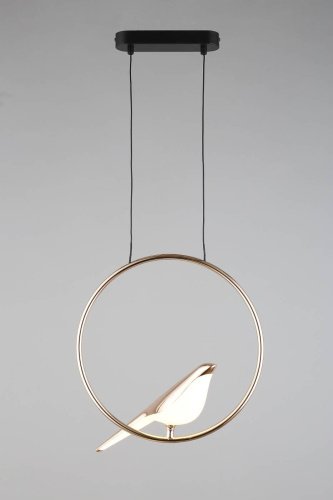 Светильник подвесной Aployt Astor APL.822.06.10