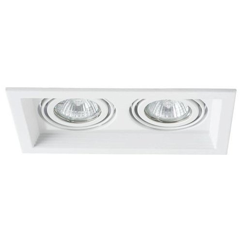 A6661PL-2WH Встраиваемый светильник Arte Lamp Canis A6661PL-2WH