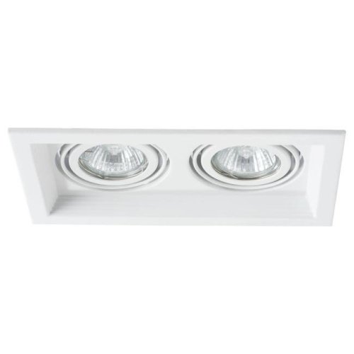 A6661PL-2WH Встраиваемый светильник Arte Lamp Canis A6661PL-2WH