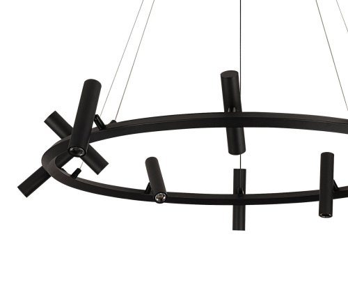 Подвесная люстра KINK Light Верония 07613-10A,19