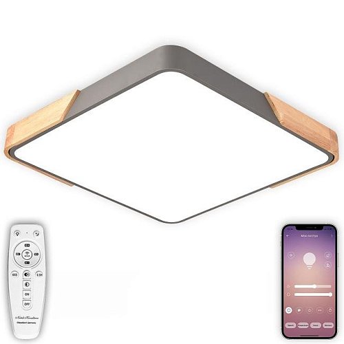 Светильник потолочный Natali Kovaltseva LED LAMPS 81413