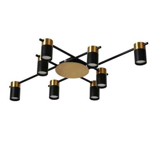 Потолочная люстра Favourite Topper 2825-8P