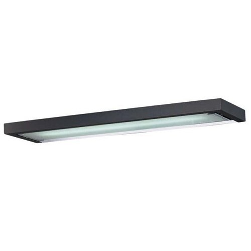 Настенно потолочный светильник Odeon Light SELVE 2031/1W