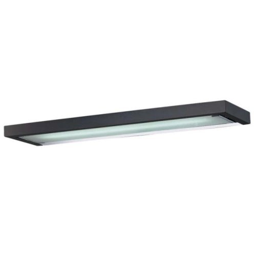 Настенно потолочный светильник Odeon Light SELVE 2031/1W