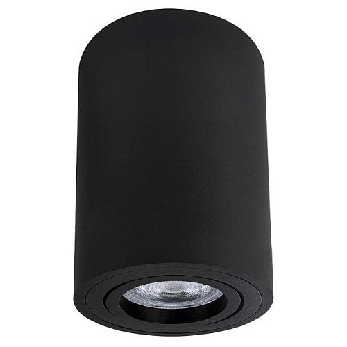 A1566PL-1BK Накладной светильник Arte Lamp Sentry A1566PL-1BK