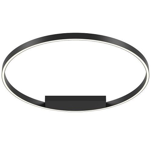Светильник потолочный Maytoni Rim MOD058CL-L50BK