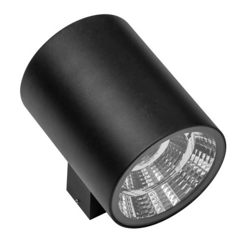 Уличный настенный светильник Lightstar Paro 371672