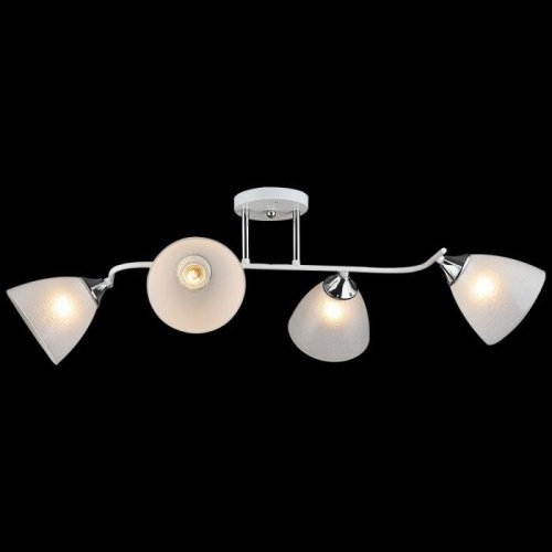 Потолочная люстра 01706-0.3-04