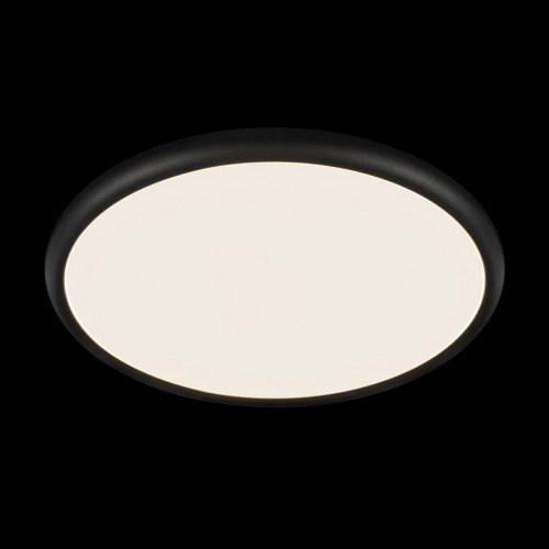 10454/500 Black Светильник потолочный Loft It Sweety 10454/500 Black