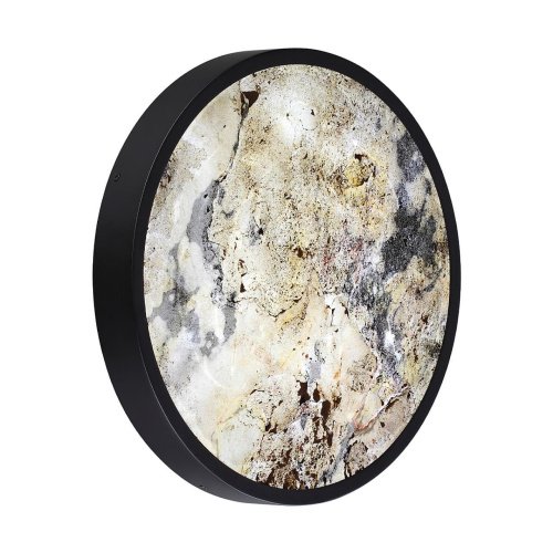 5064/24L Настенно потолочный светильник Odeon Light Bergi 5064/24L