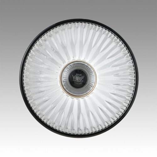 8053/1A Светильник подвесной Lumion Natana 8053/1A