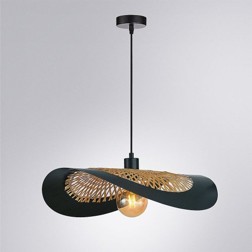 Светильник подвесной Arte Lamp Woodstock A7059SP-1BK