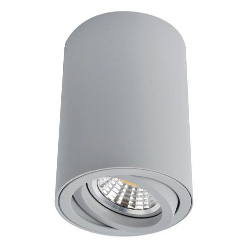 A1560PL-1GY Накладной светильник Arte Lamp Sentry A1560PL-1GY