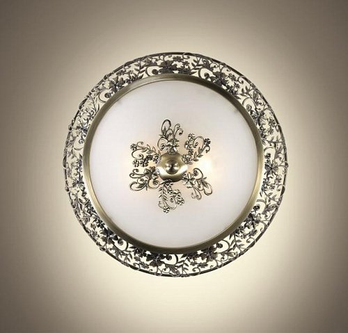 Настенно потолочный светильник Odeon Light Balasa 2726/2C