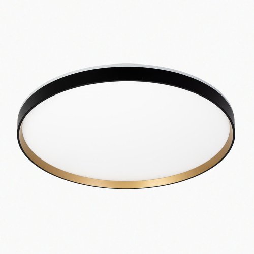 Светильник потолочный Citilux Etalon CL750501R