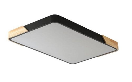 ZRS.01244.60 Светильник потолочный Zortes Alberro ZRS.01244.60