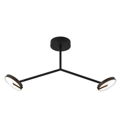 4401-2C Потолочная люстра Favourite Paritet 4401-2C