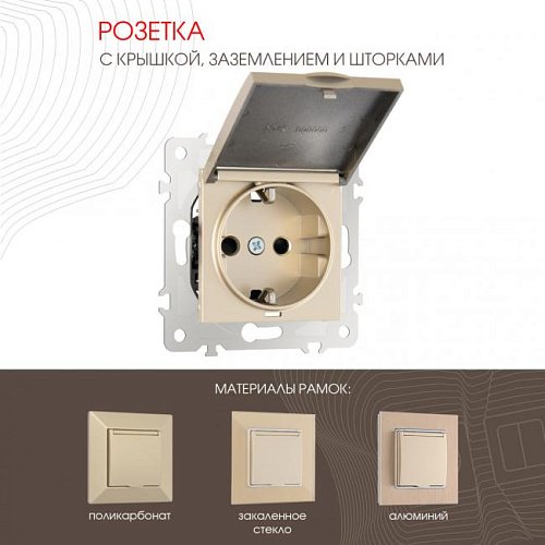 203.41-1.shampan Розетка Arte Milano Am-203 203.41-1.shampan