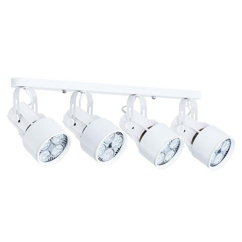 A6252PL-4WH Светильник спот Arte Lamp Lyra A6252PL-4WH