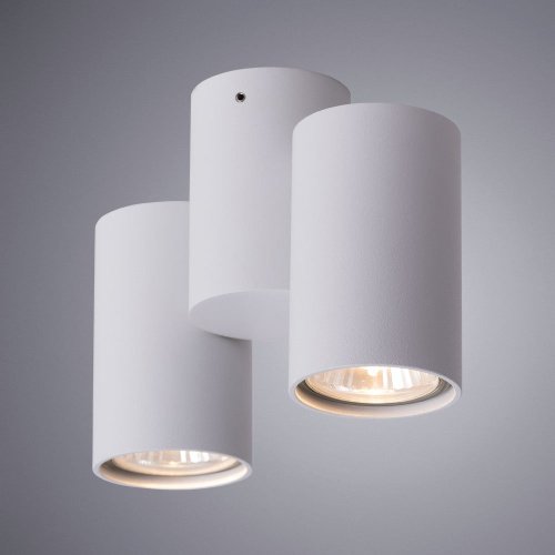 Накладной светильник Arte Lamp Gavroche A1511PL-2WH
