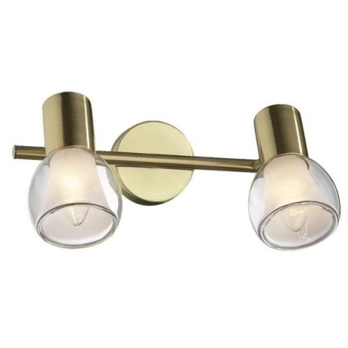 Светильник спот Odeon Light MOSS 2176/2W