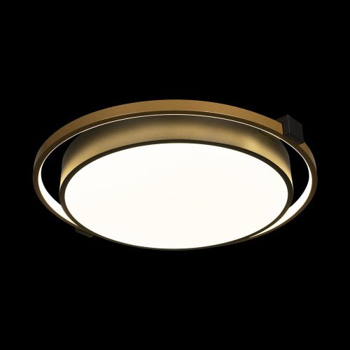 10170 Потолочная люстра Loft It Mike 10170