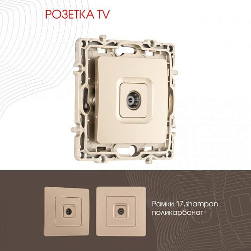 217.43-1.shampan Розетка Arte Milano Am-217 217.43-1.shampan