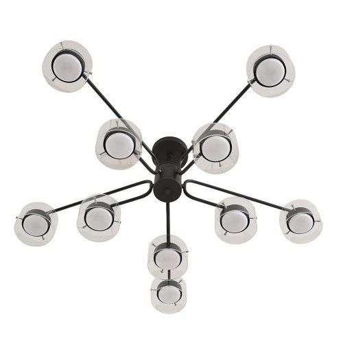 Потолочная люстра Lumion Natalina 8349/10C