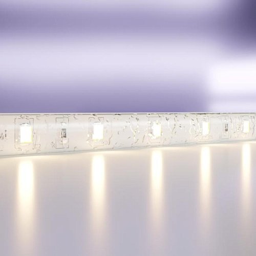 20016 LED лента Maytoni Светодиодная лента 24В 20016