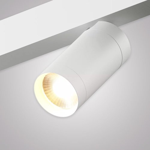 Трековый светильник AM Group Smart cylinder AM527 WH-220V-20W SMART