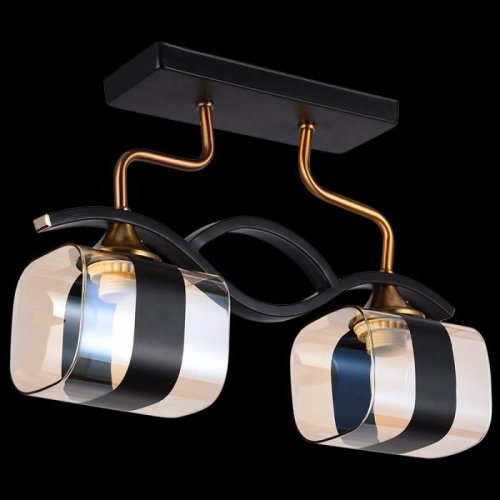 Потолочная люстра 72106-0.3-02 BK+GAB